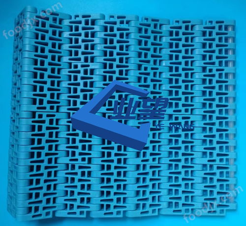 5033塑料網帶 節距50.8mm